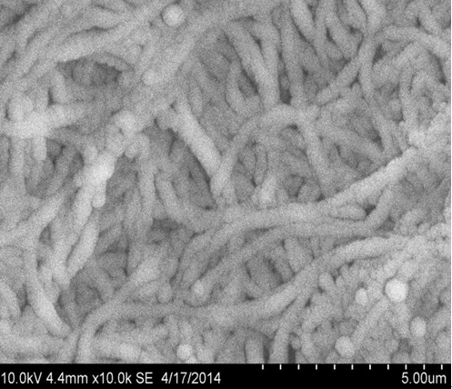 1476845704188380.png blob.png